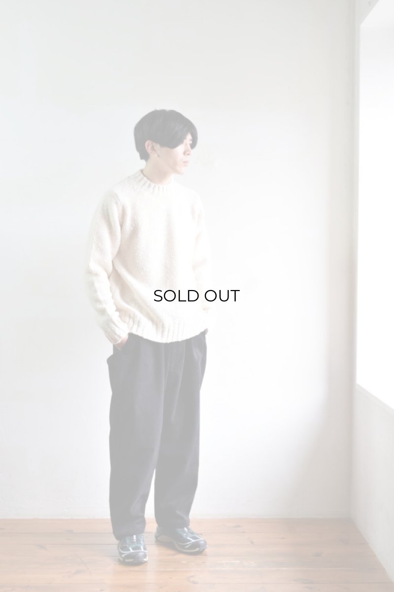 身長173cm、体重62kgの体型でサイズFREEの着用例