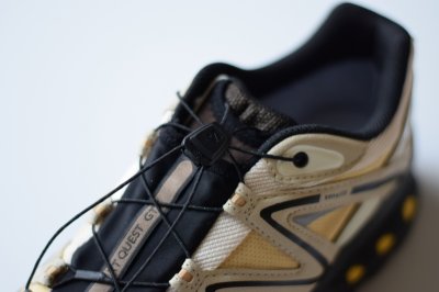 画像2: Salomon Sportstyle XT-QUEST GTX [SAHARA SUN/WHITE PEPPER/BEACH BALL]